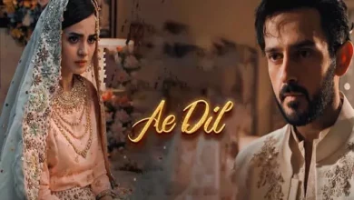Ae dil 1 Ae Dil Last Episode