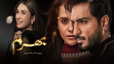 Bharam Bharam Last Episode