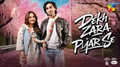 Dekh Zara Pyar Se Dekh Zara Pyar Se Last Episode