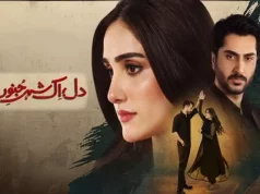 Dil Aik Shehr e Junoon Last Episode