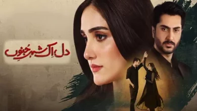 Dil Ik Shehr e Junoon Dil Aik Shehr e Junoon Last Episode