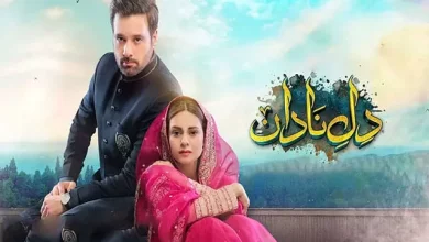 Dil e Nadan Dil-e-Nadan Last Episode