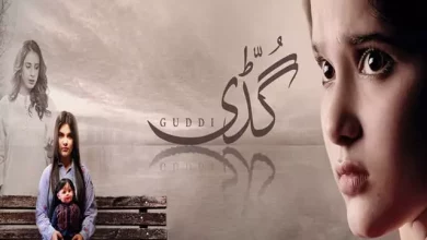 Guddi 1 Guddi Last Episode