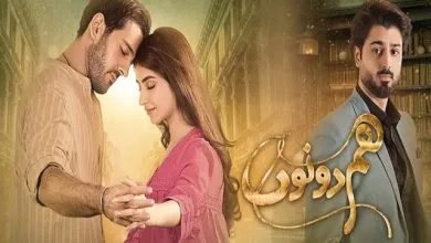 HumDono Hum Dono Last Episode