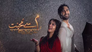 Meem Se Mohabba Meem Se Mohabbat Last Episode