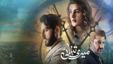 Meri Tanhai Meri Tanhain Last Episode