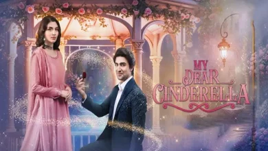 My dear cinderella 1 My Dear Cinderella Last Episode