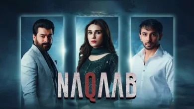 Naqaab Naqaab Last Episode