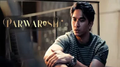 Parwarish Parwarish Last Episode