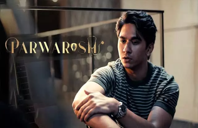 Parwarish Parwarish Episode 4