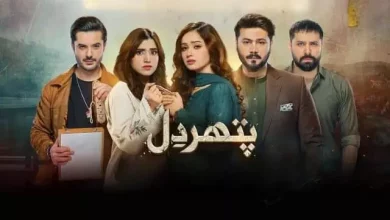 Pathar dil Pathar dil Episode 94