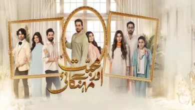 Pnet jobs Mohabbat Aur Mehangai Last Episode