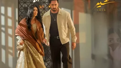 Sher Sher Last Episode