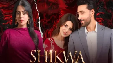 Shikwa Shikwa Episode 31