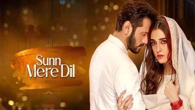 Sunn mere dil Sunn mere dil Last Episode