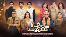 Toota huwa dil 1 Beti ka ghar konsa Episode 1