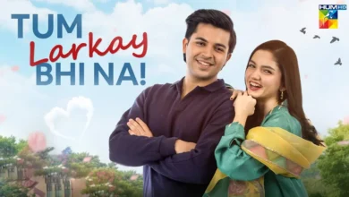 Tum Larkay Bhi Na Tum Larkay Bhi Na Last Episode