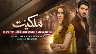 Untitled design 1 1 Milkiyat Episode 23