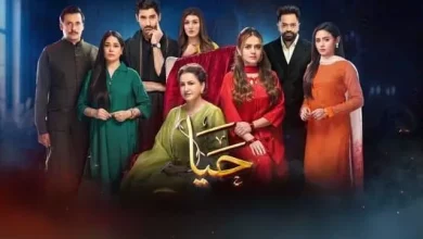haya 01 Haya last Episode